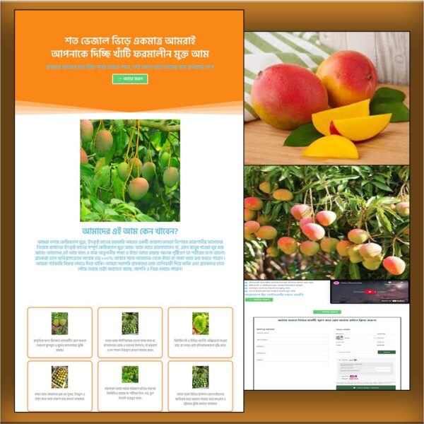 Mango - Cartflows Landing Page